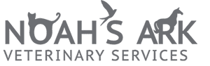 Noah’s Ark Veterinary Services: Your Local Vet in Medowie