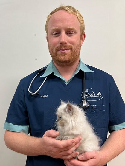Dr Adams — Veterinary Services In Medowie, NSW