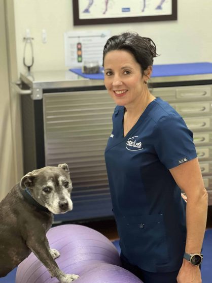 Dr Ilona — Veterinary Services In Medowie, NSW