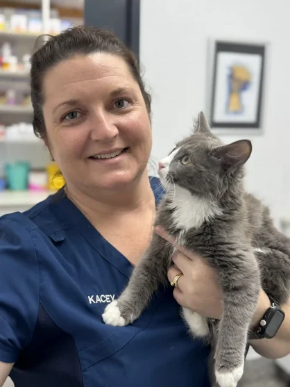 Kacey