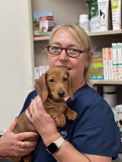 Sue — Veterinary Services In Medowie, NSW
